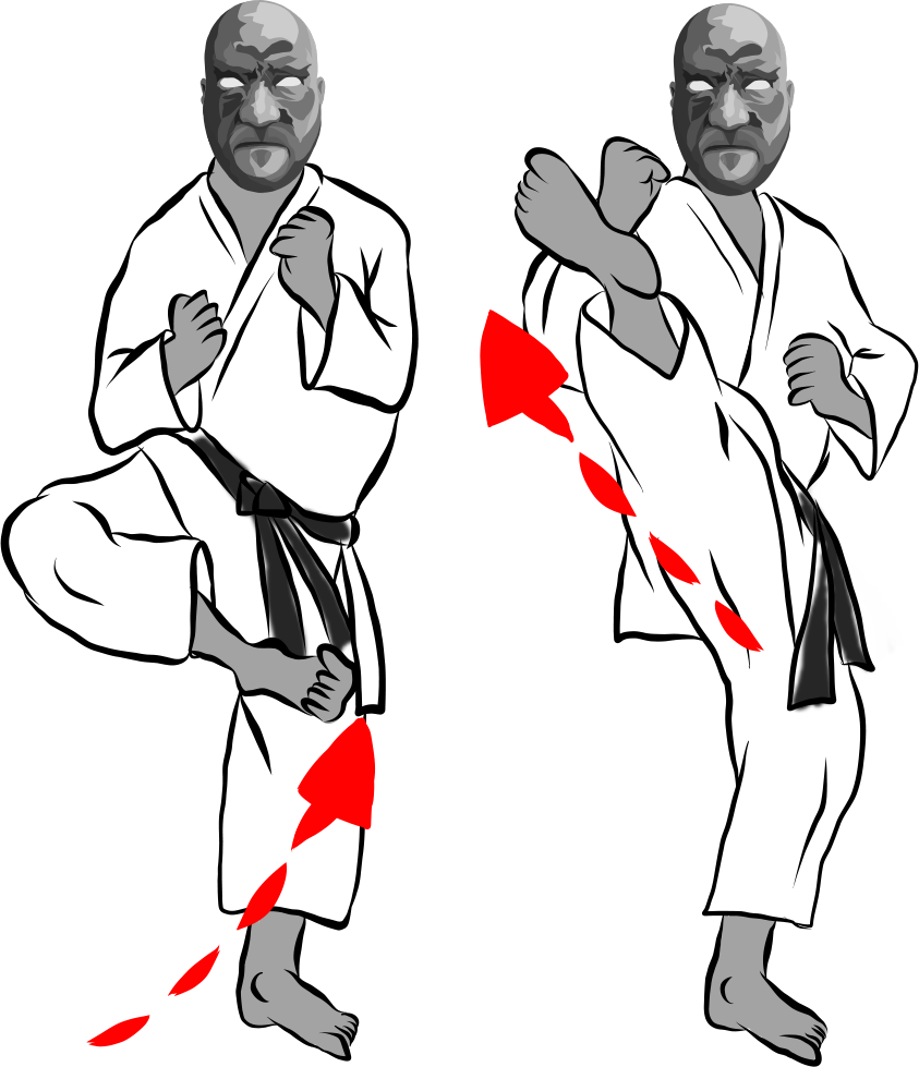 Uchi Mawashi Geri